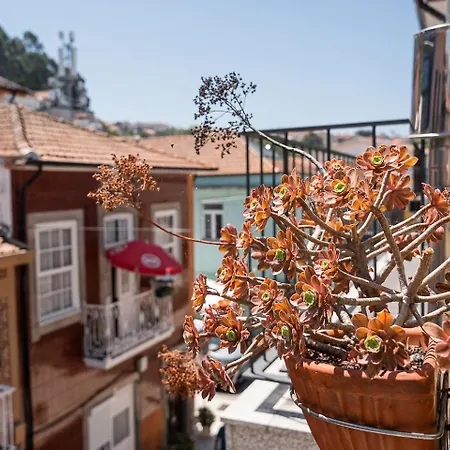 Guestready - Fisherman's Shelter Afurada de Cima